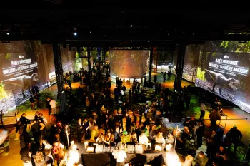 <p>© Jules Despretz</p>